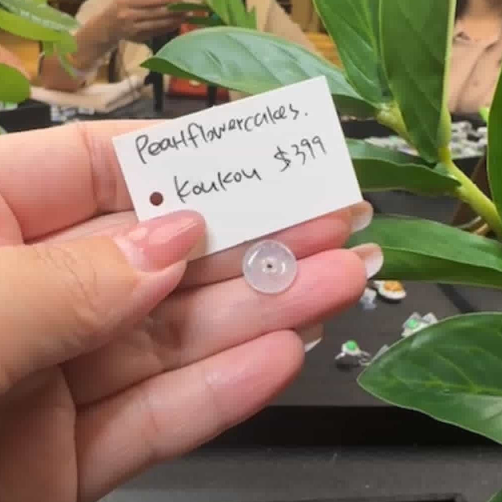 Live "Natural Icy Jadeite Jade Koukou" (Live Pick) (07/26/25)