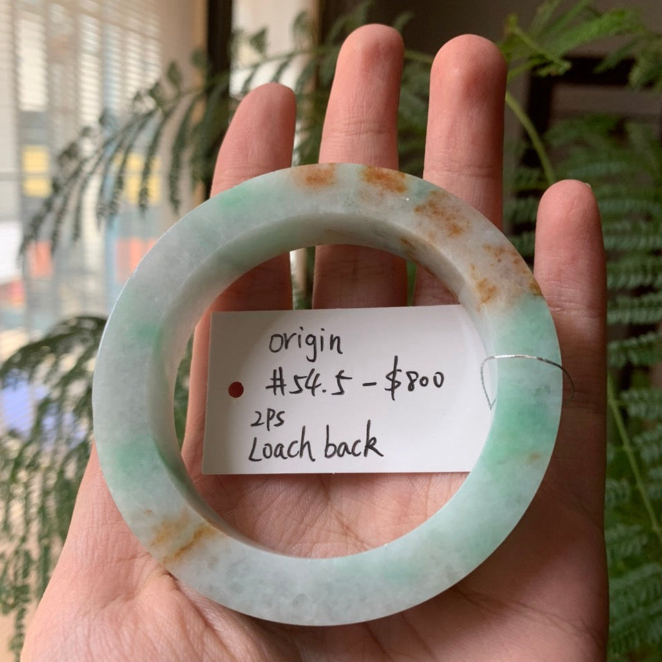 "Live" Natural "Mermaid"Jadeite Jade Bangle(Final)(06/05/26)