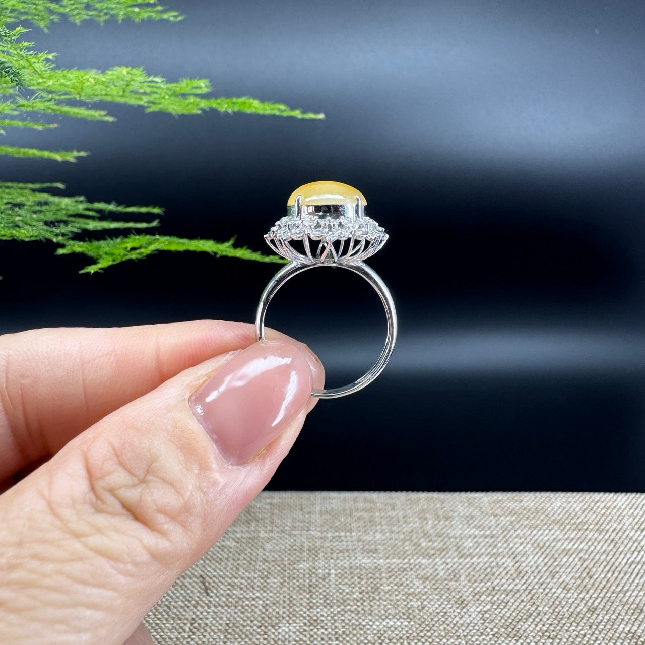 RealJade® "Signature Signet" 18K White Gold  Yellow Jadeite Jade Classic Ring