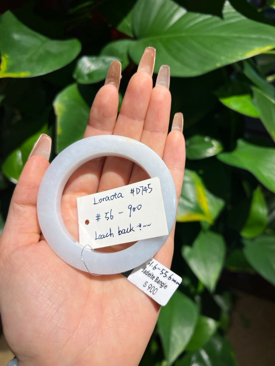 "Live" Natural Light Green Jadeite Jade  Comfor Fit Bangle(05/29/2026)