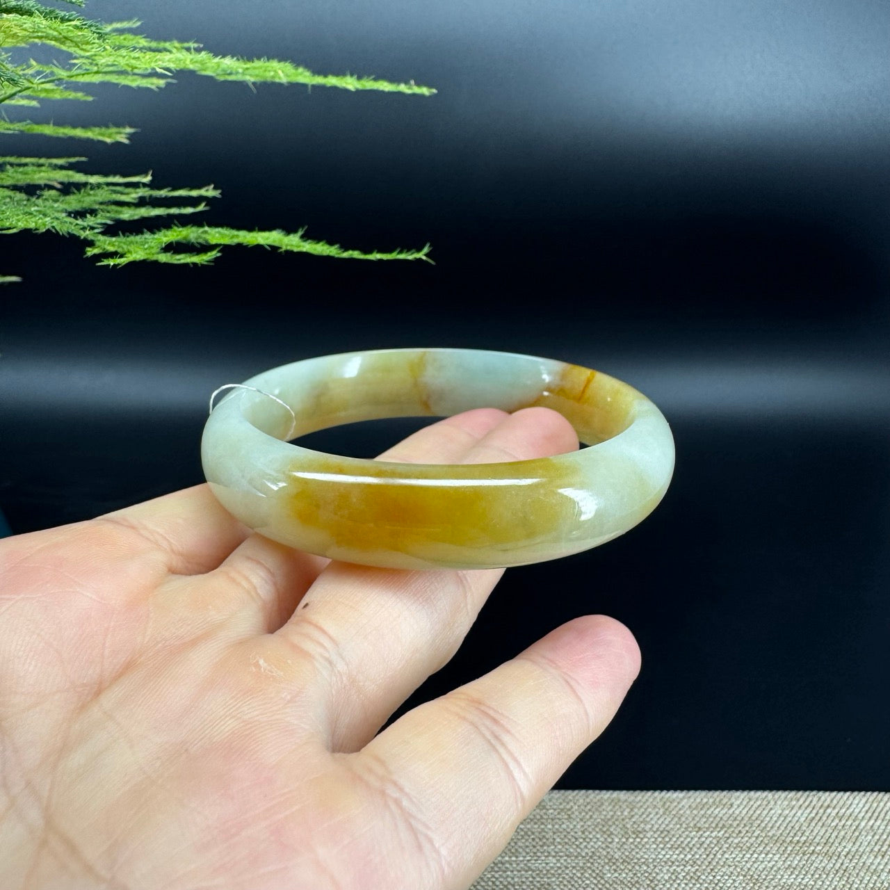 Genuine Burmese Yellow Green Jade Jadeite Bangle Bracelet ( 57.3mm )