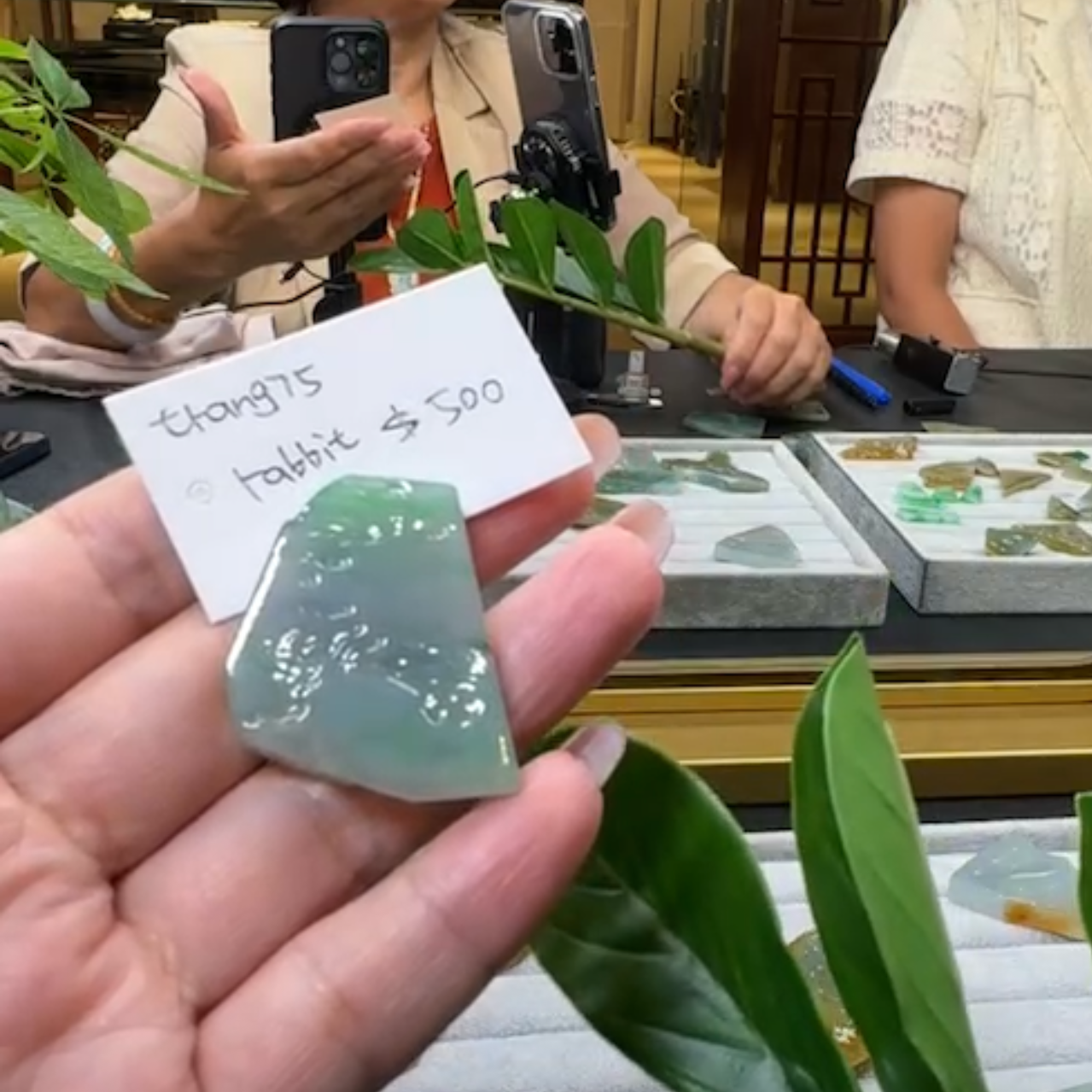Live "Natural Light Green Jadeite Jade Raw" (Live Pick) (07/19/25)