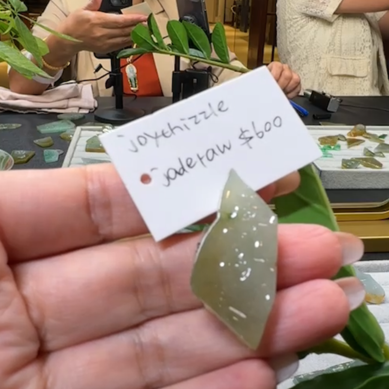 Live "Natural Light Green Jadeite Jade Raw" (Live Pick) (07/19/25)
