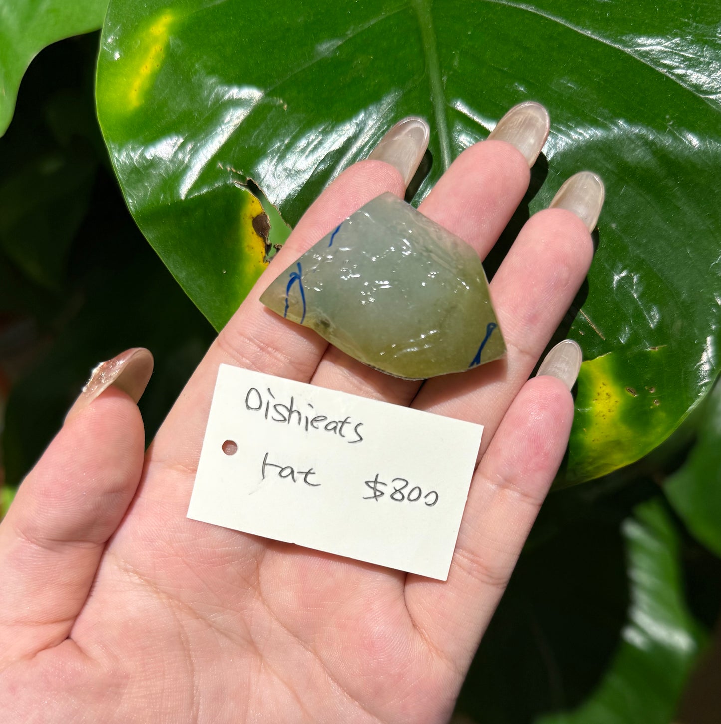 Live "Natural Light Green Jadeite Jade Raw" (Live Pick) (07/19/25)