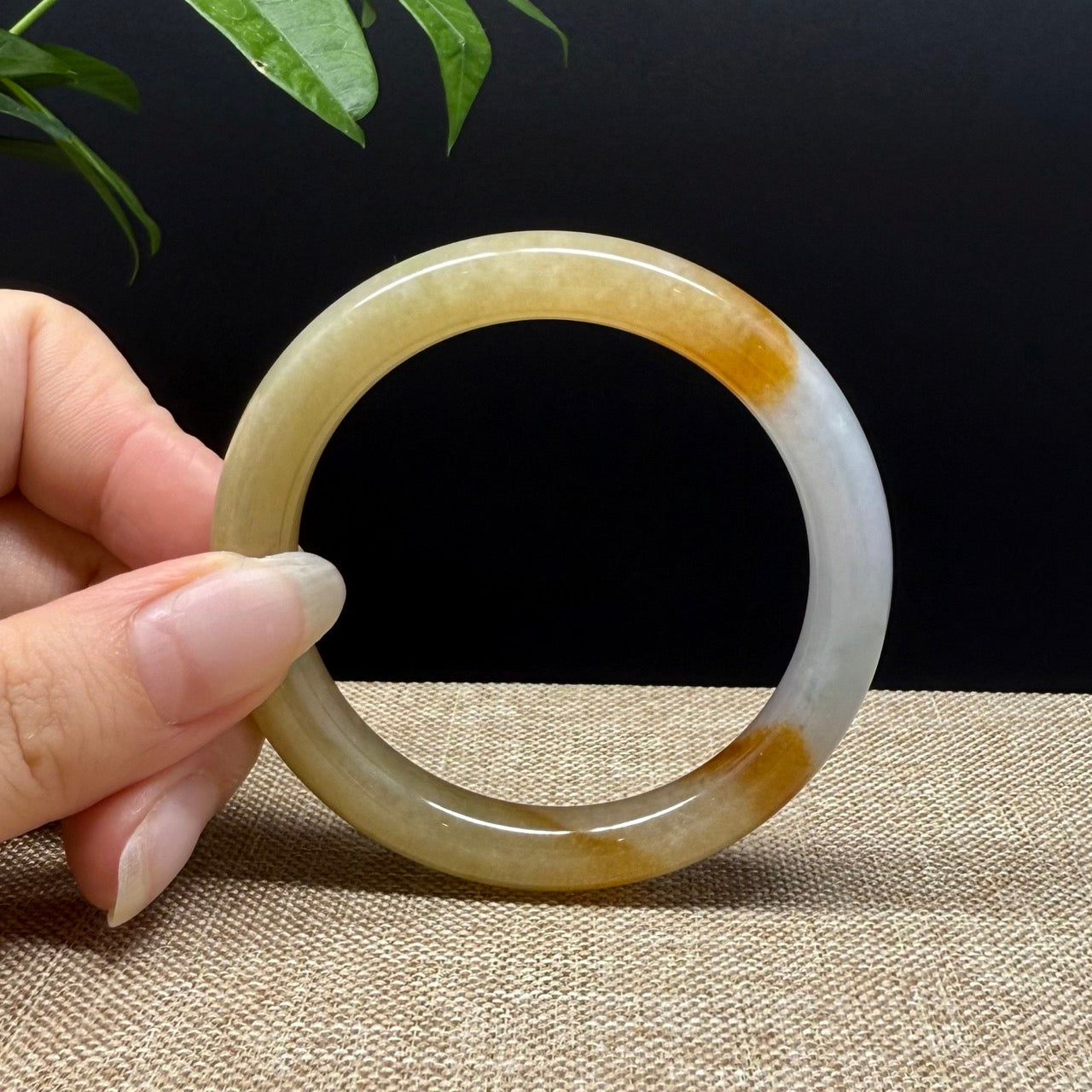 High end Genuine Burmese Yellow Jade Jadeite Bangle Bracelet ( 52mm )