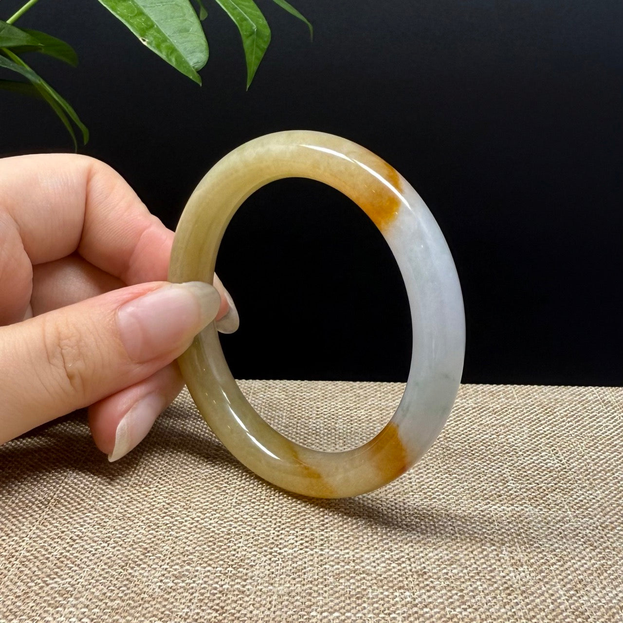 High end Genuine Burmese Yellow Jade Jadeite Bangle Bracelet ( 52mm )