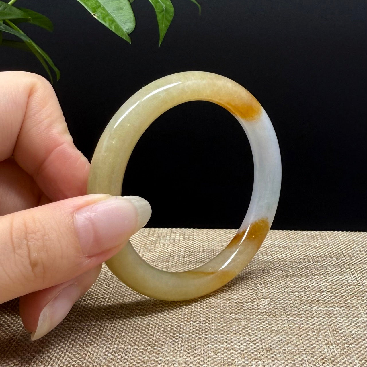 High end Genuine Burmese Yellow Jade Jadeite Bangle Bracelet ( 52mm )
