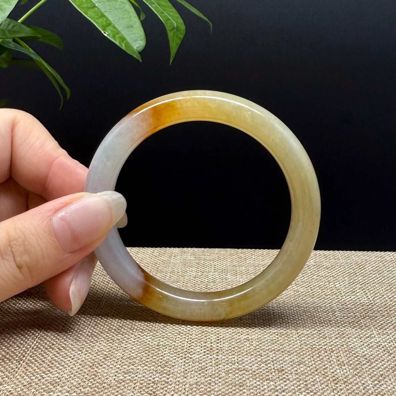 High end Genuine Burmese Yellow Jade Jadeite Bangle Bracelet ( 52mm )