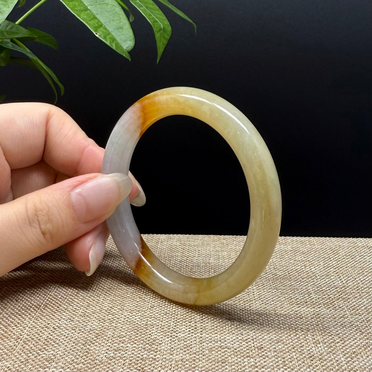 High end Genuine Burmese Yellow Jade Jadeite Bangle Bracelet ( 52mm )