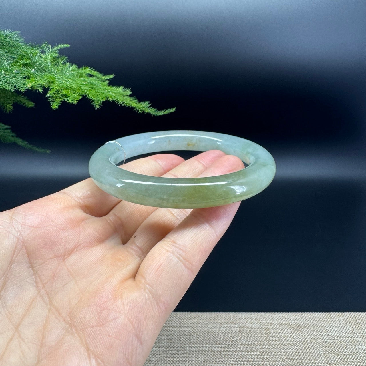 High end Genuine Burmese Icy Yellow Green Jade Jadeite Bangle Bracelet ( 57.4mm )