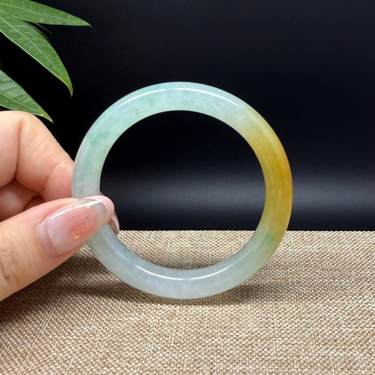 High end Genuine Burmese Icy Yellow Green Jade Jadeite Bangle Bracelet ( 50.8mm )