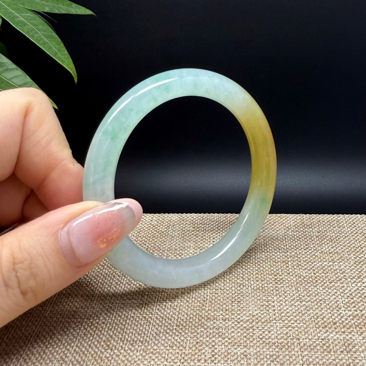 High end Genuine Burmese Icy Yellow Green Jade Jadeite Bangle Bracelet ( 50.8mm )