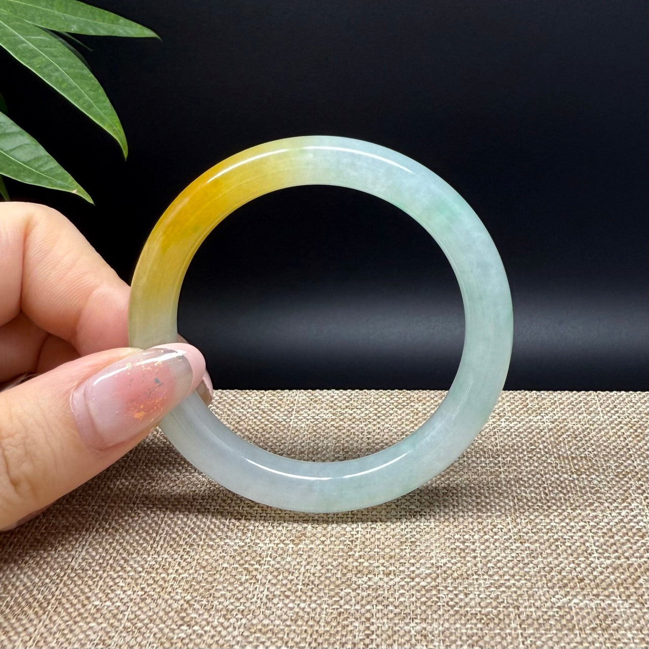 High end Genuine Burmese Icy Yellow Green Jade Jadeite Bangle Bracelet ( 50.8mm )