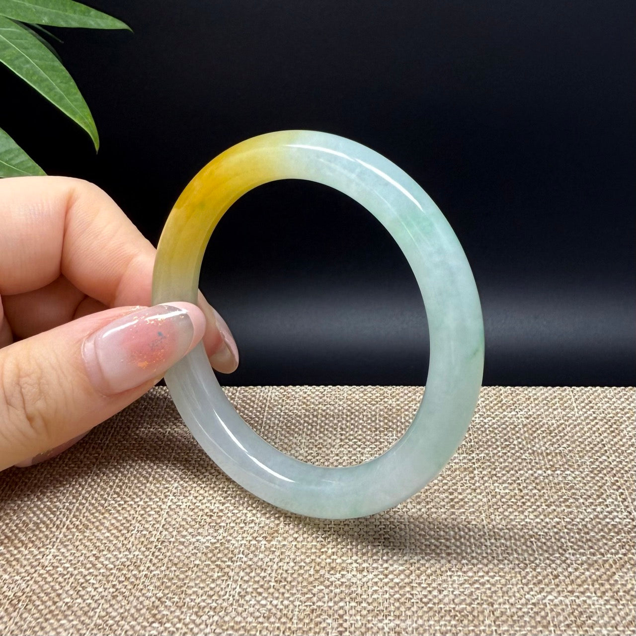 High end Genuine Burmese Icy Yellow Green Jade Jadeite Bangle Bracelet ( 50.8mm )