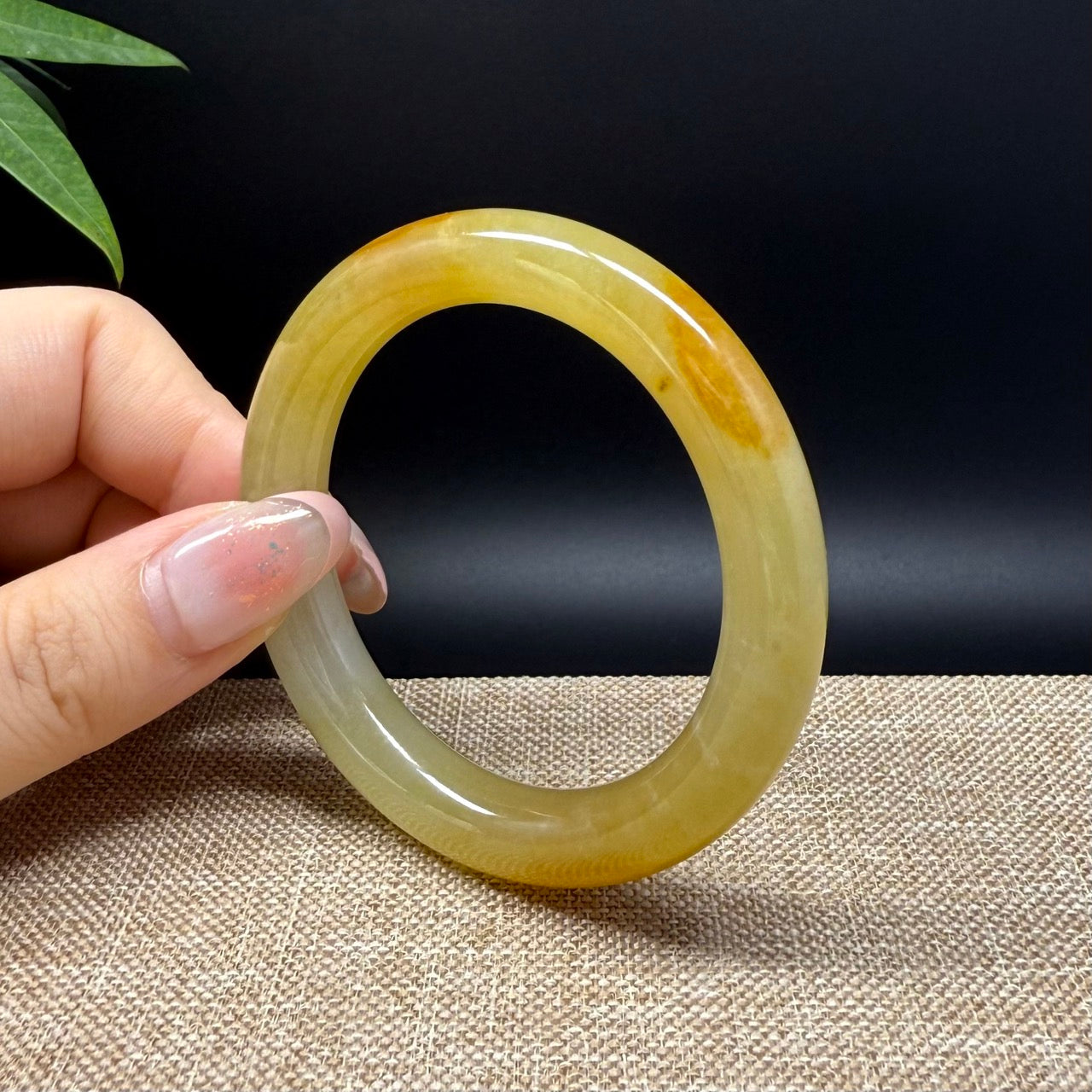 High end  Burmese Icy Yellow Jade Jadeite Bangle Bracelet ( 50.7mm )