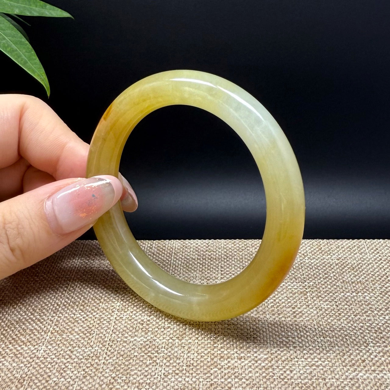 High end  Burmese Icy Yellow Jade Jadeite Bangle Bracelet ( 50.7mm )