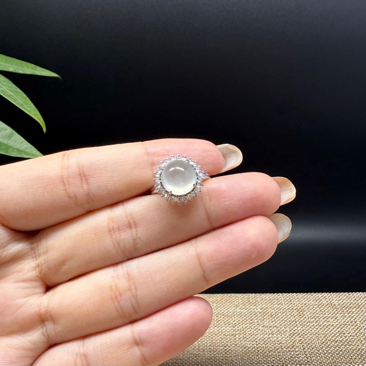 RealJade® "Signature Signet" 18K White Gold Icy Jadeite Jade Ring