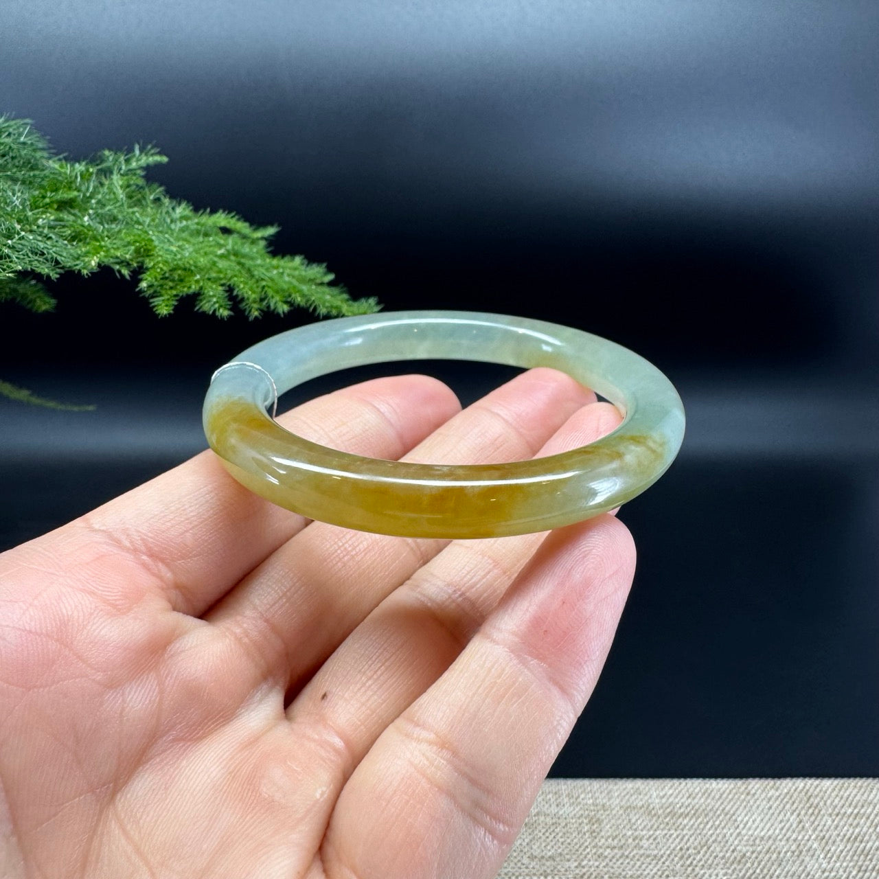 Genuine Burmese Icy Yellow Green Jade Jadeite Bangle Bracelet (51.9mm)