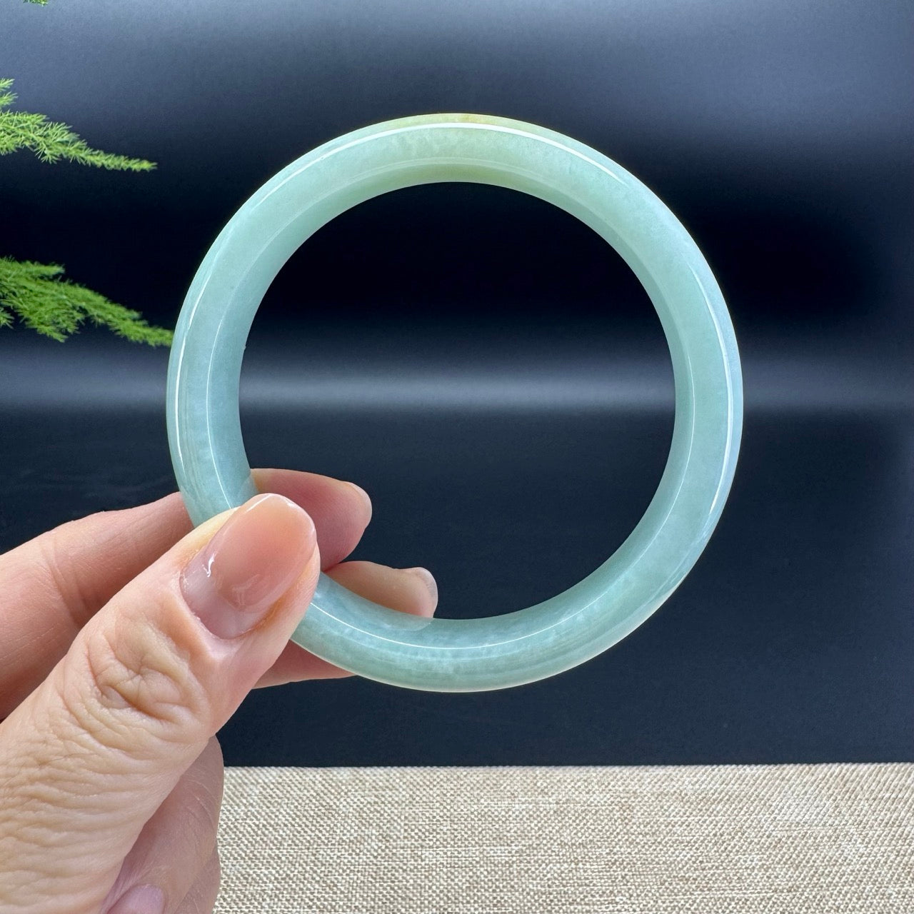 Genuine Burmese Apple Yellow Green Jade Jadeite Bangle Bracelet ( 60.8mm )