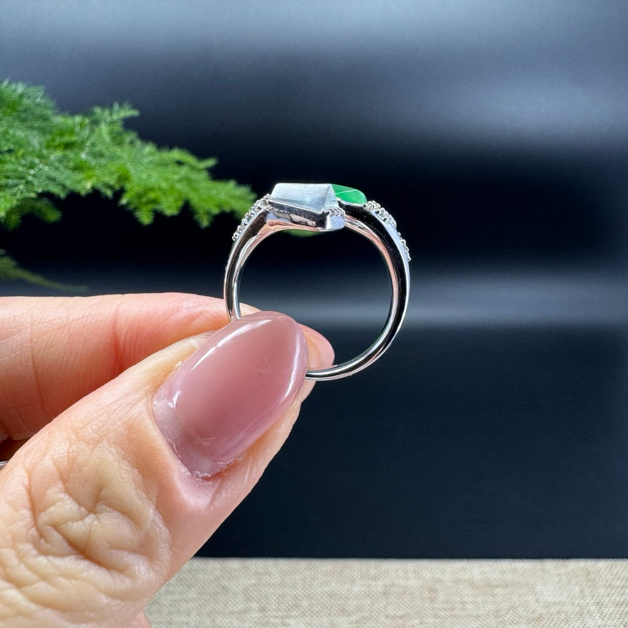 RealJade® 18k White Gold Natural Icy&Green Jadeite Ring With Diamonds