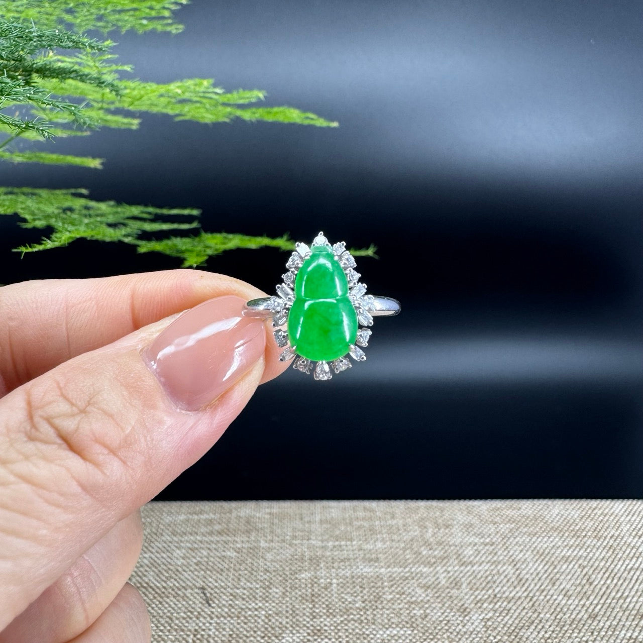 The ring shape of the hulu.The ring color is green.