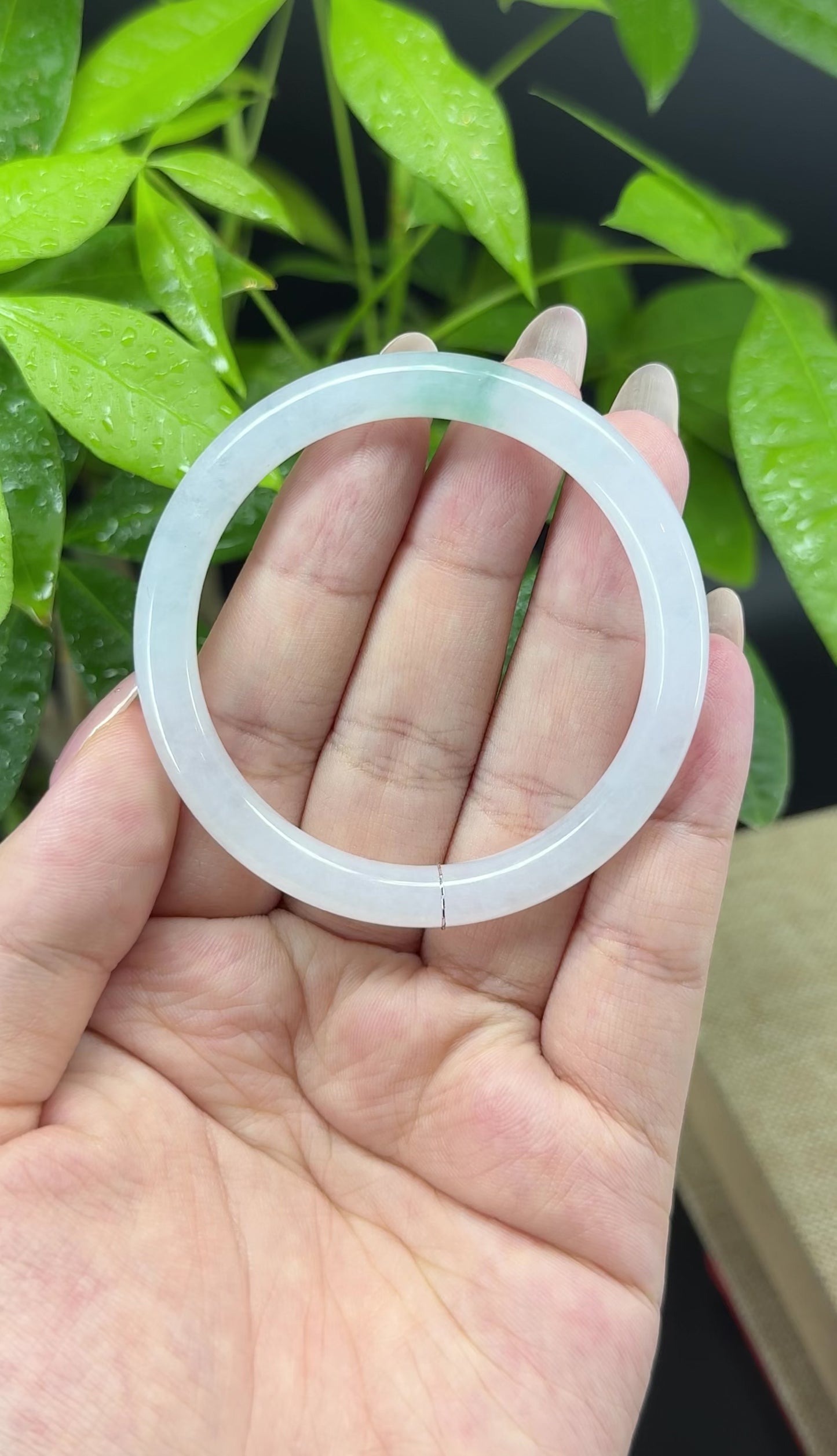 Load and play video in Gallery viewer, Genuine Burmese Icy Green Jade Jadeite Bangle Bracelet (49.8mm)
