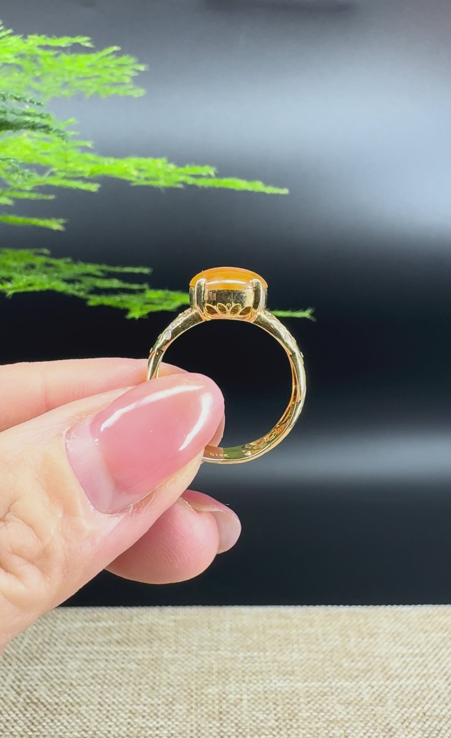 RealJade® "Signature Signet" 18K Yellow Gold Honey Yellow Jadeite Jade Classic Ring