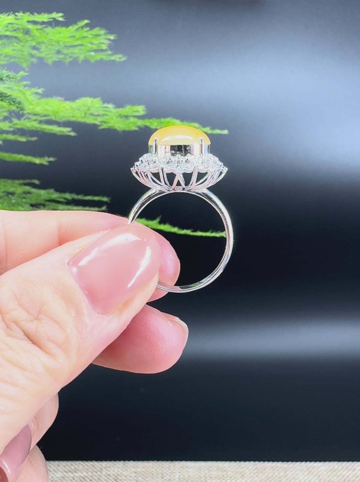 RealJade® "Signature Signet" 18K White Gold  Yellow Jadeite Jade Classic Ring
