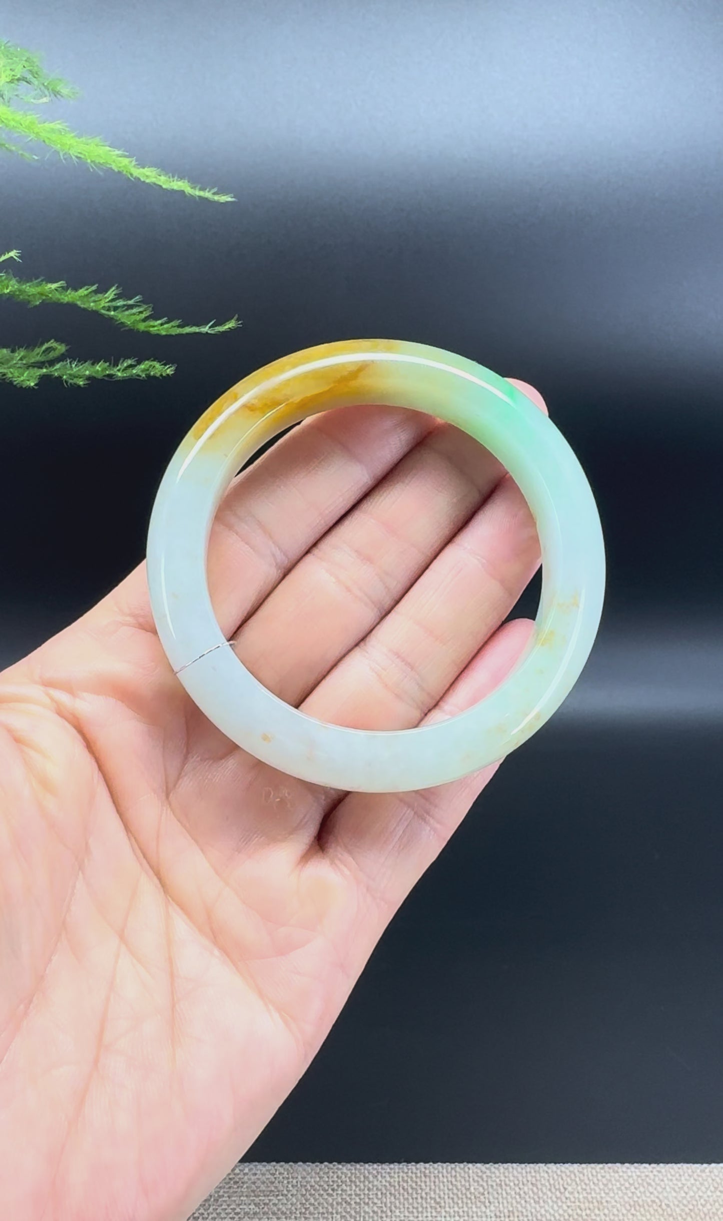 Load and play video in Gallery viewer, Genuine Burmese  Yellow Green Jade Jadeite Bangle Bracelet (52.6mm)
