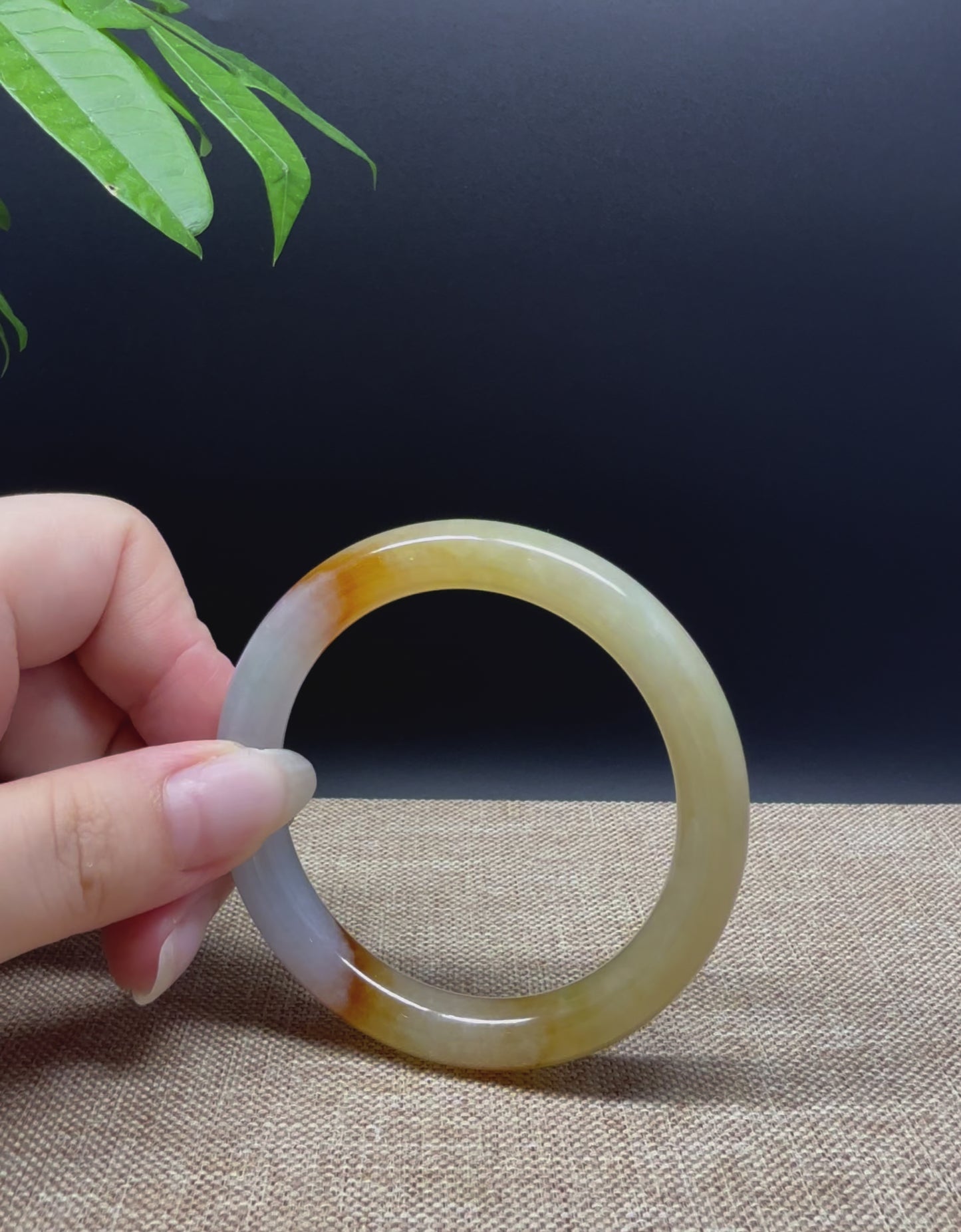 Load and play video in Gallery viewer, High end Genuine Burmese Yellow Jade Jadeite Bangle Bracelet ( 52mm )
