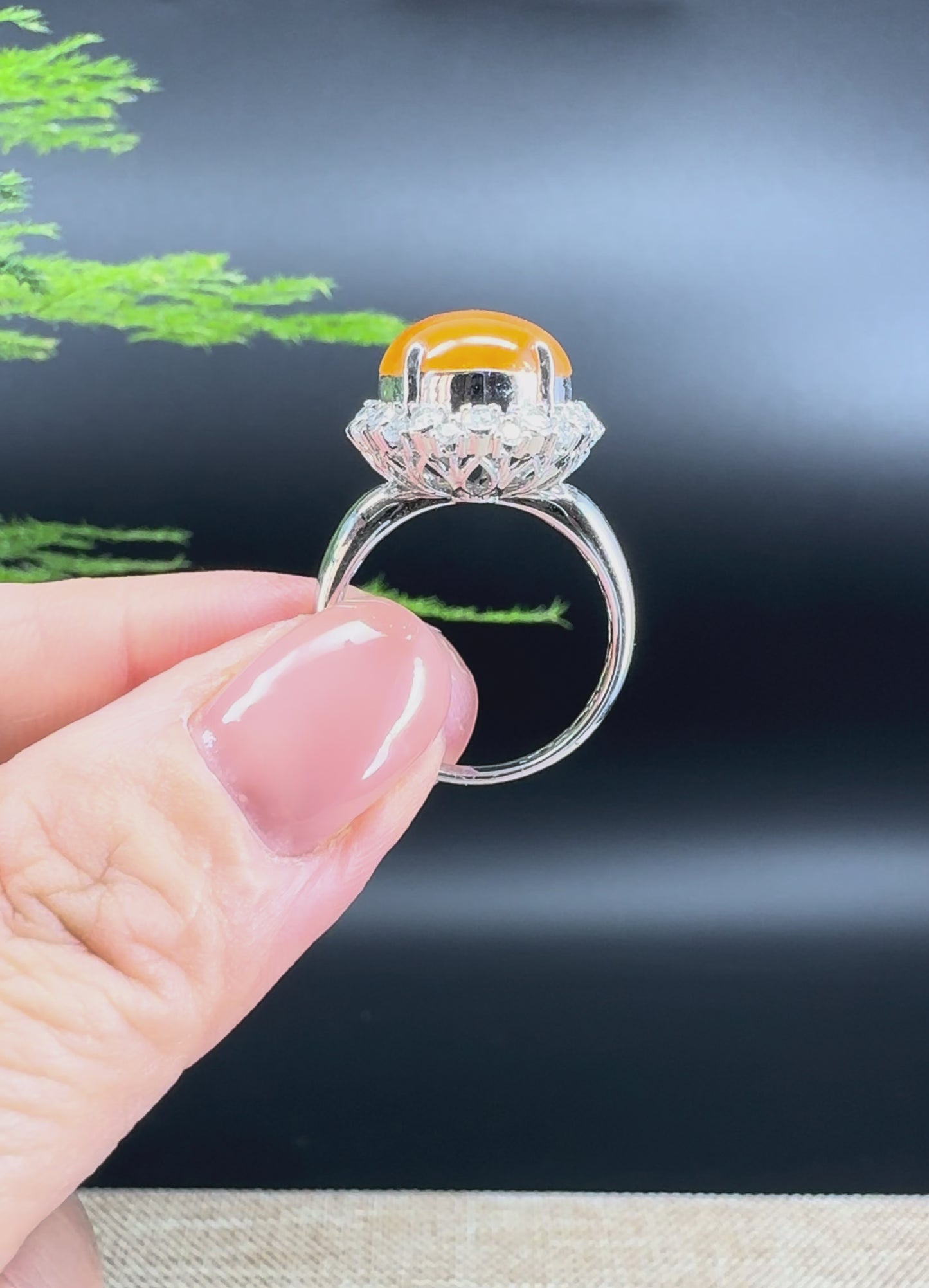 RealJade® 18K White Gold Bronze Yellow Jadeite Jade Classic Ring