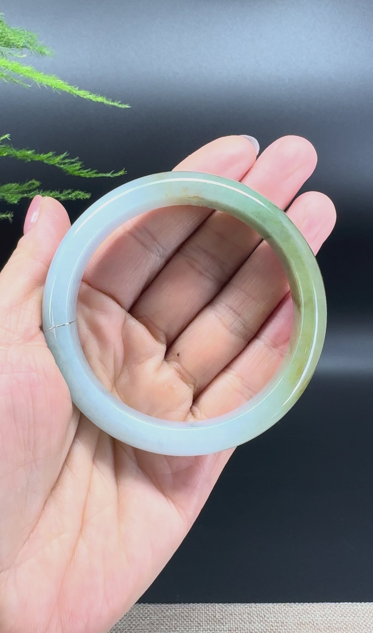 Load and play video in Gallery viewer, Genuine Burmese Yellow Green Jade Jadeite Bangle Bracelet ( 58.6mm )
