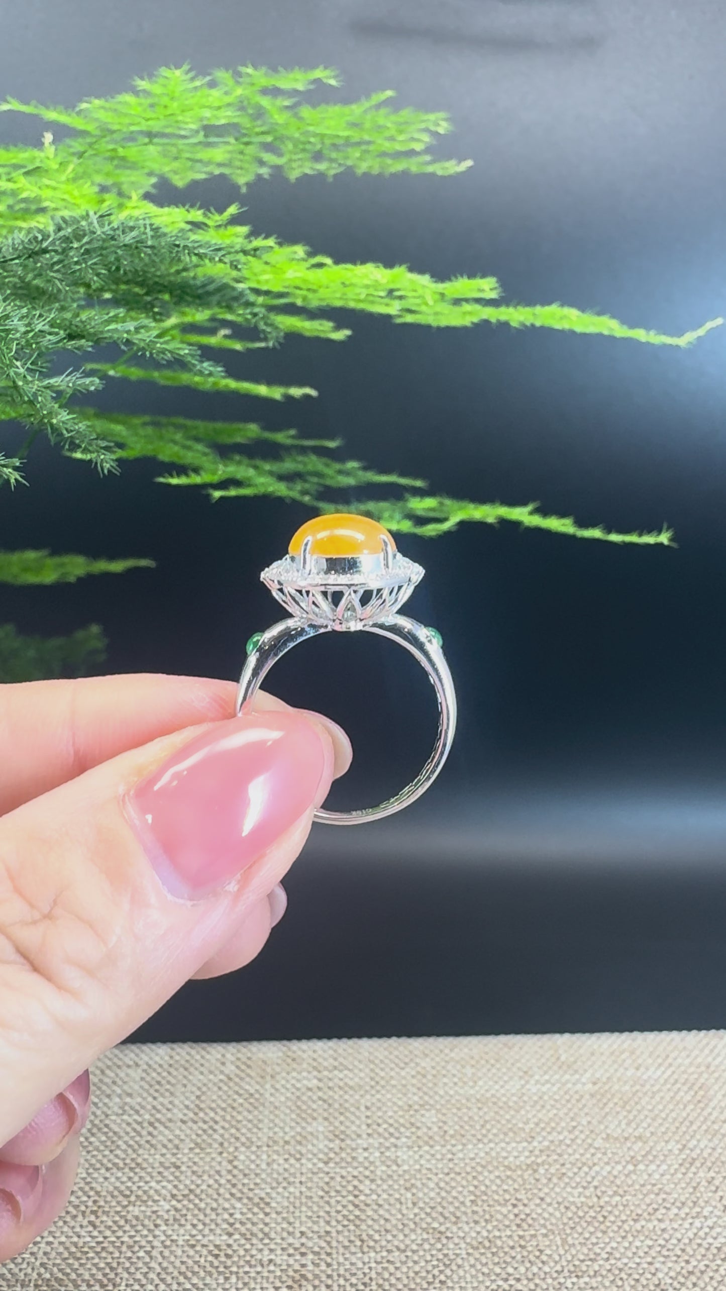 RealJade® "Signature Signet" 18K White Gold Honey Yellow Jadeite Jade Diamonds Classic Ring