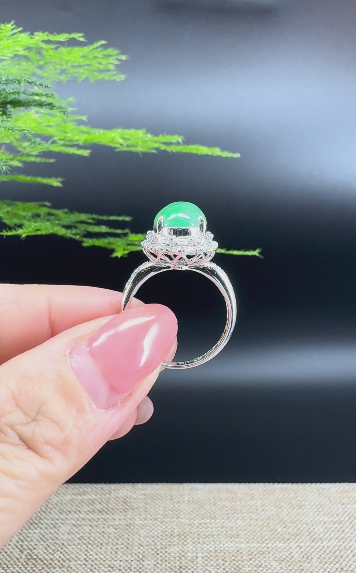 RealJade® "Signature Signet" 18K White Gold Icy Green Jadeite Jade Ring